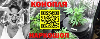 гидра Нарткала