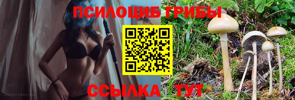 Псилоцибиновые грибы Psilocybe  Вход с VPN  купить  цена  Уссурийск  Галлюциногенные грибы GOLDEN TEACHER 